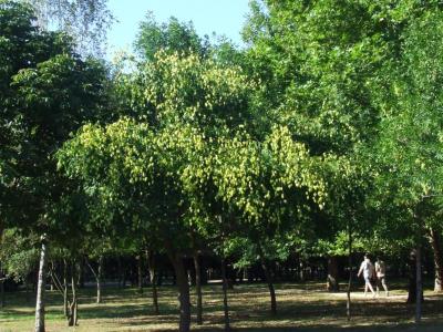 Прикрепленное изображение: k02.jpg